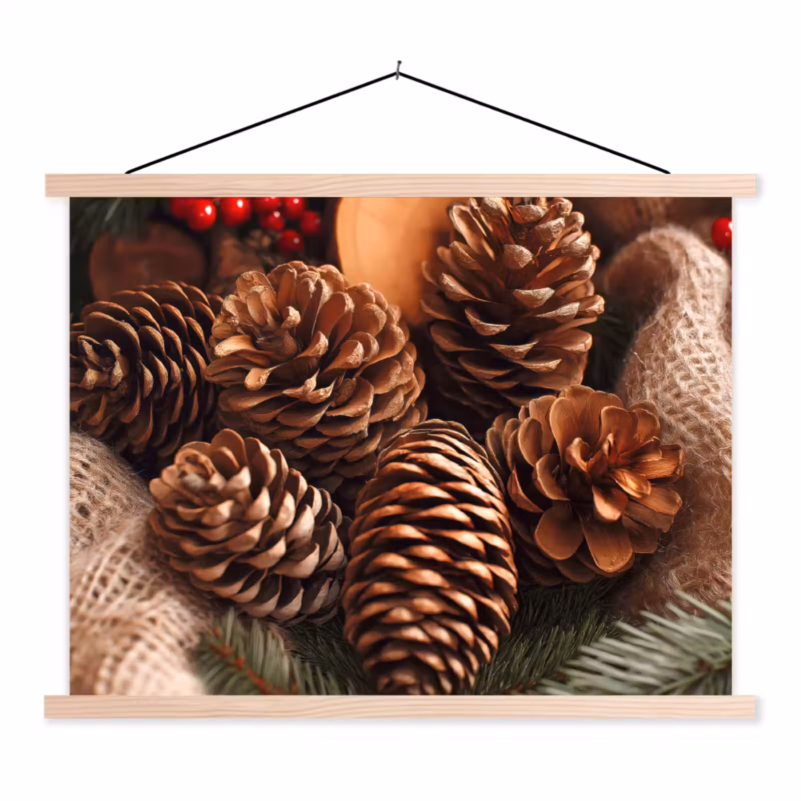 Schoolplaat - Dennenappels - Boom - Winter - Natuur - Bruin — 1