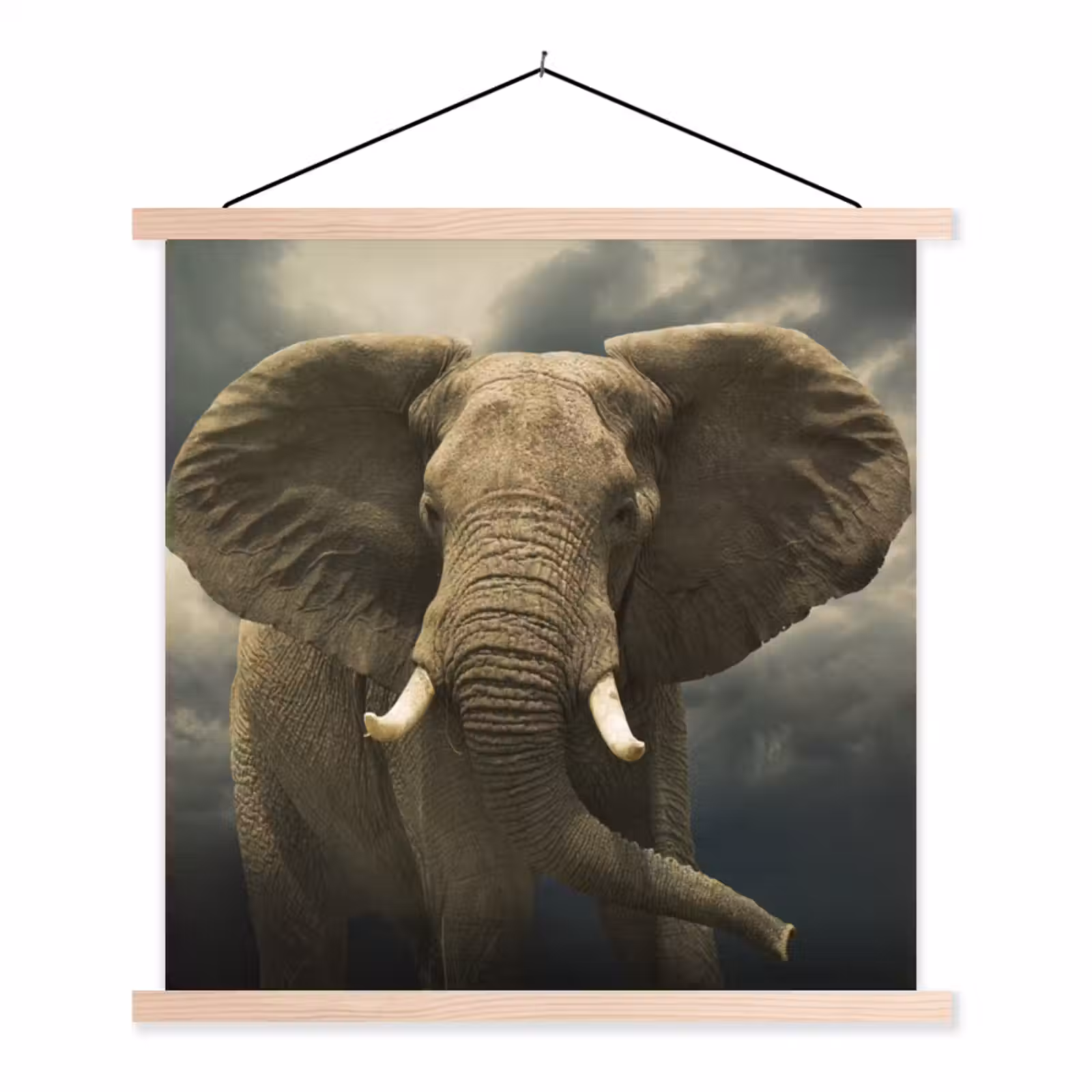 Schoolplaat - Afrikaanse olifant tegen de donkere wolken — 1