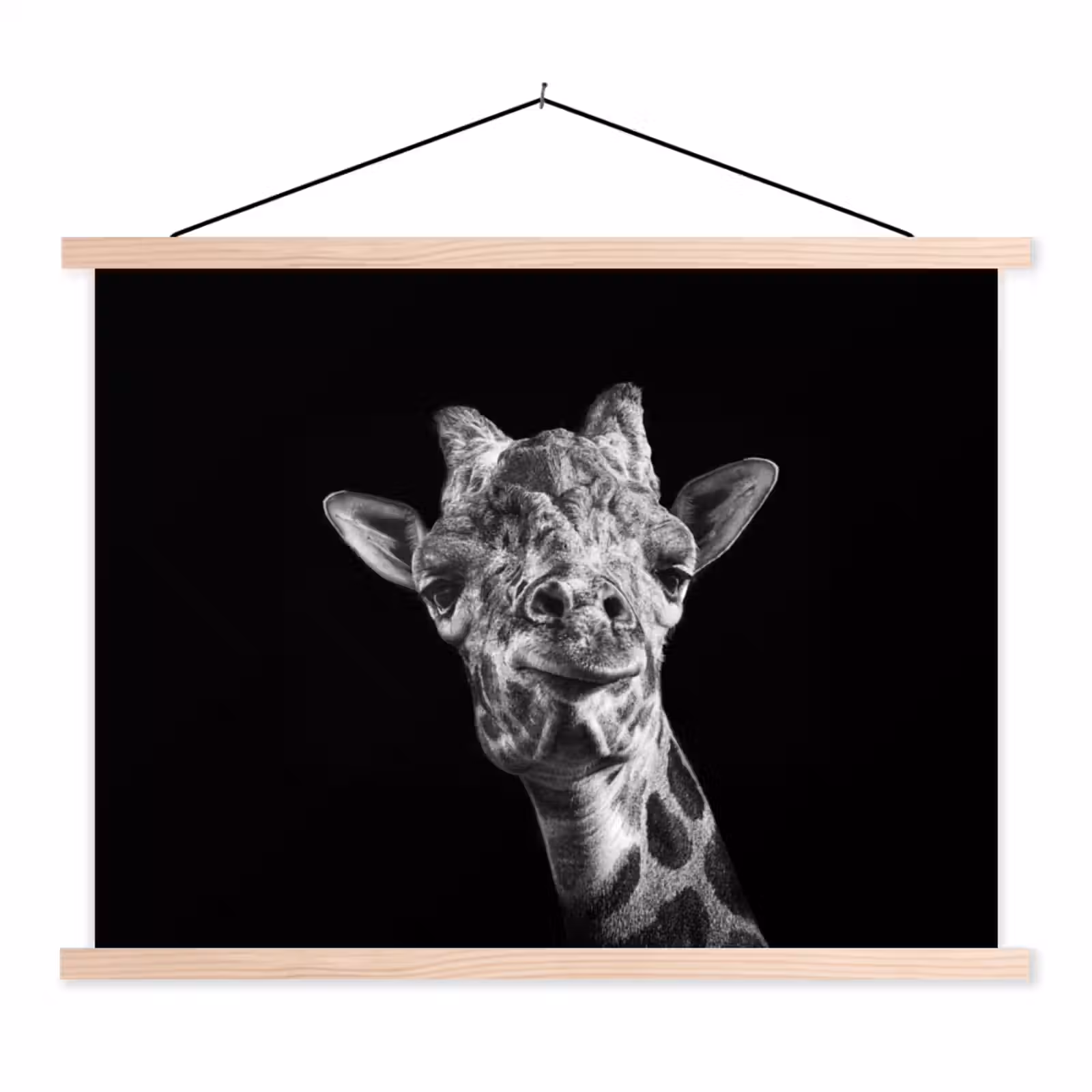 Schoolplaat - Giraffe - Dier - Zwart - Wit — 1