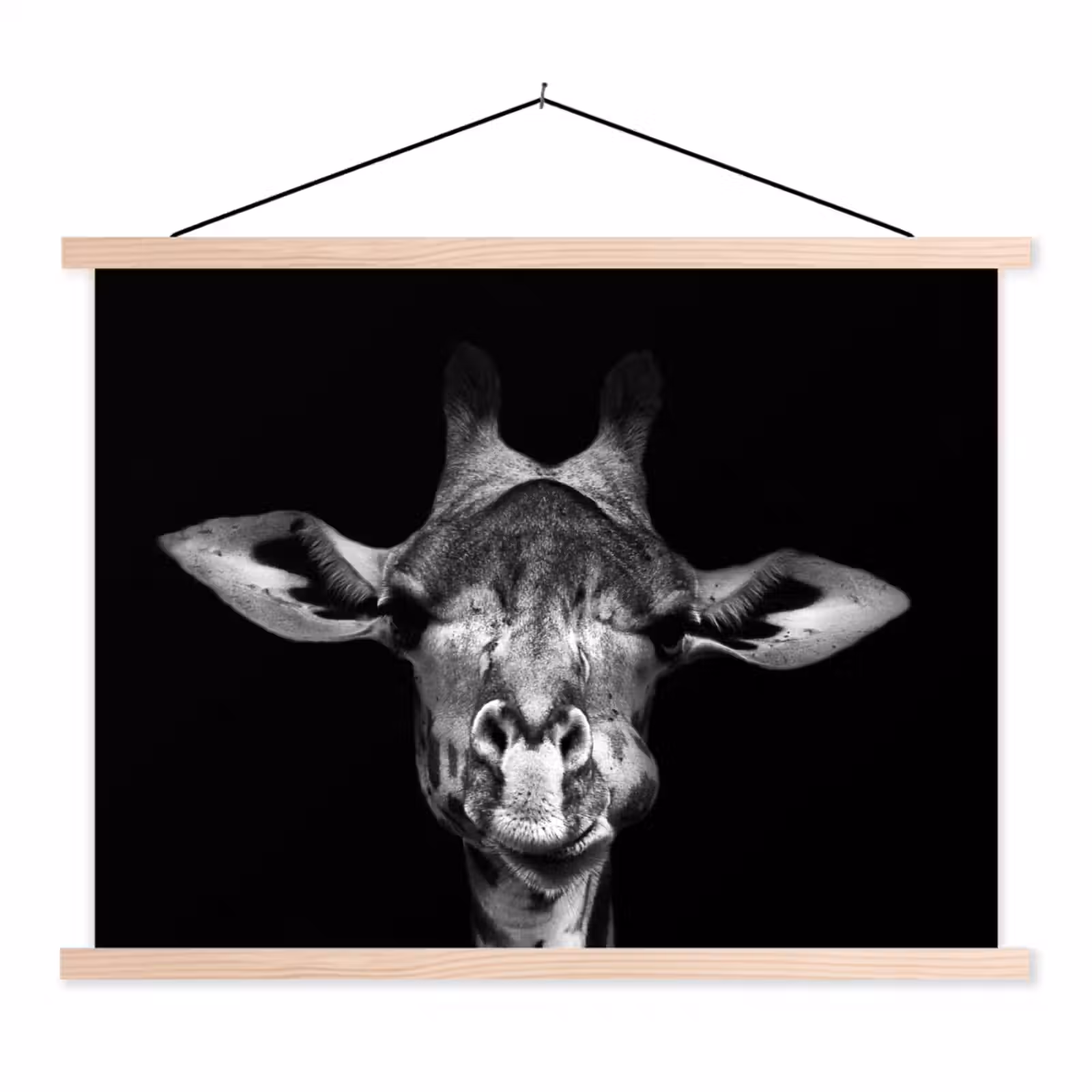 Schoolplaat - Giraffe - Portret - Dieren - Zwart - Wit — 1