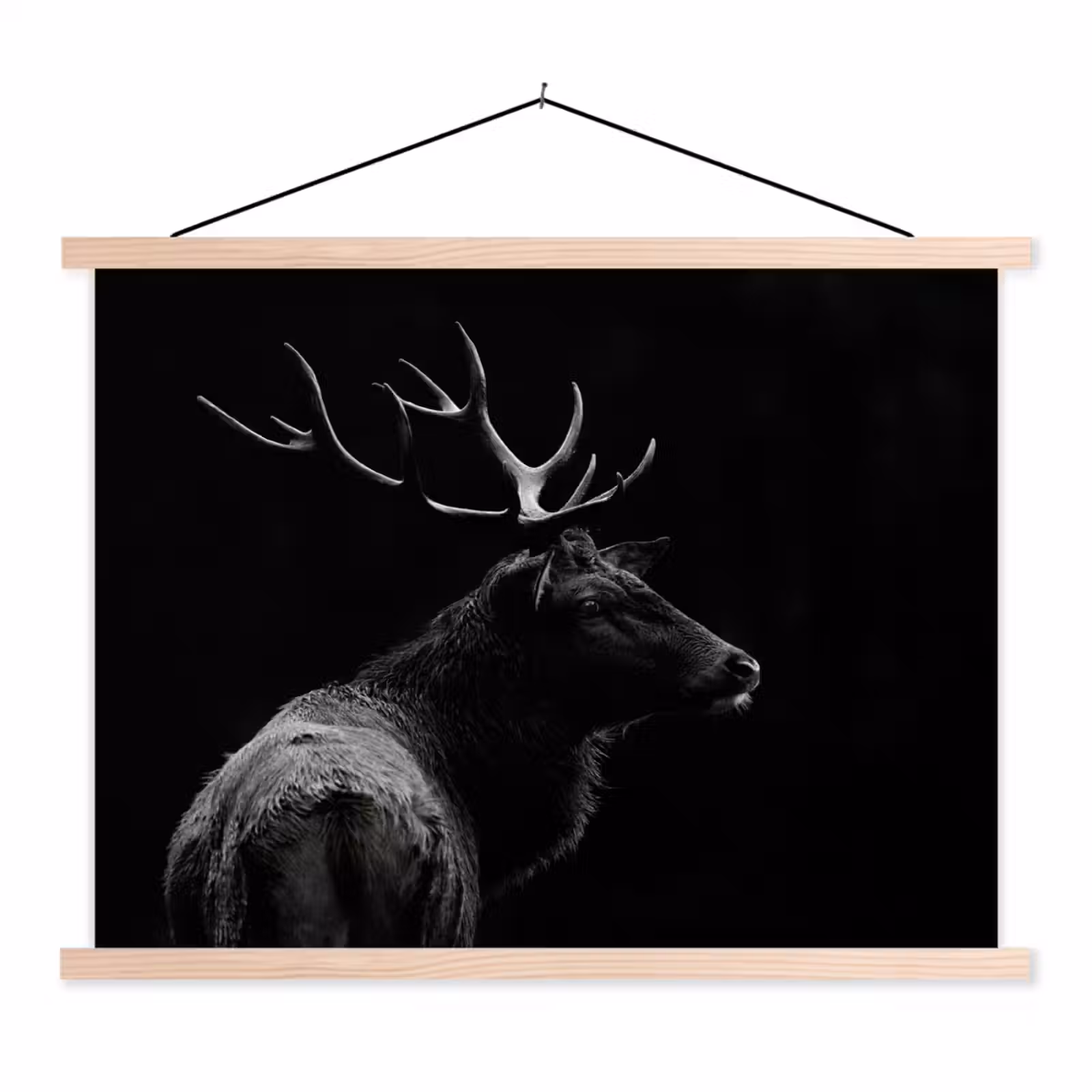 Schoolplaat - Hert - Zwart - Portret - Gewei - Dieren — 1