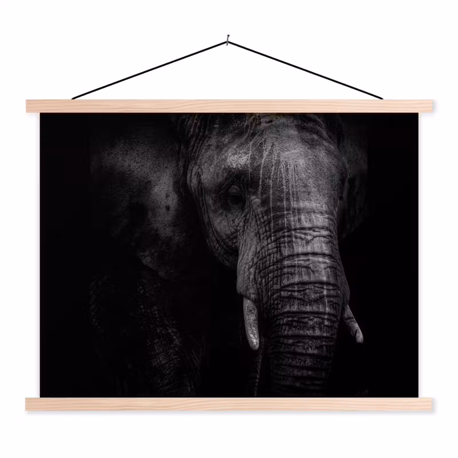 Schoolplaat - Olifant - Dier - Portret — 1