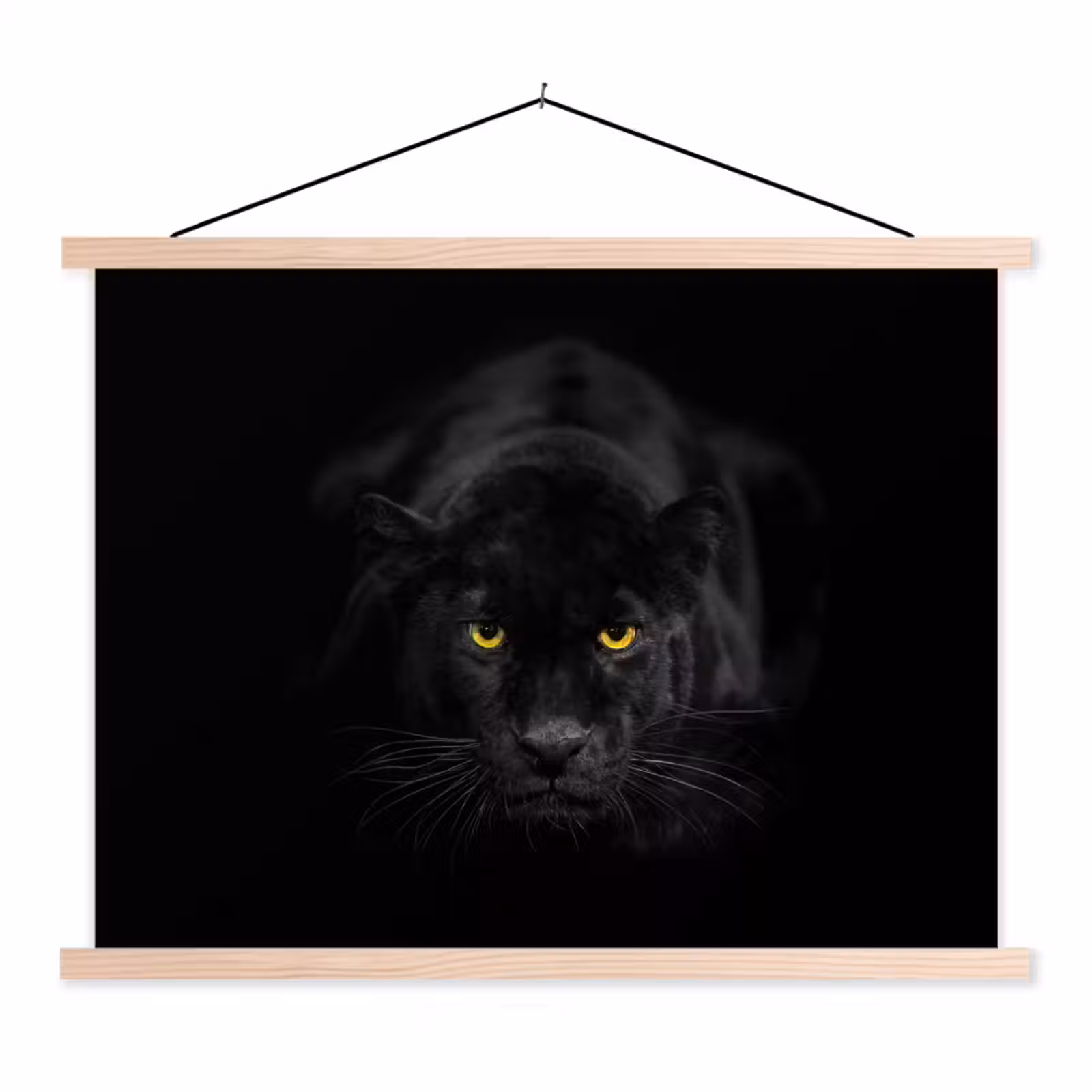Schoolplaat - Panter - Dieren - Zwart - Ogen — 1