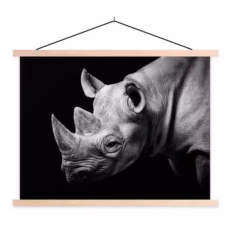 Schoolplaat - Dieren - Neushoorn - Zwart - Wit - Portret — 1
