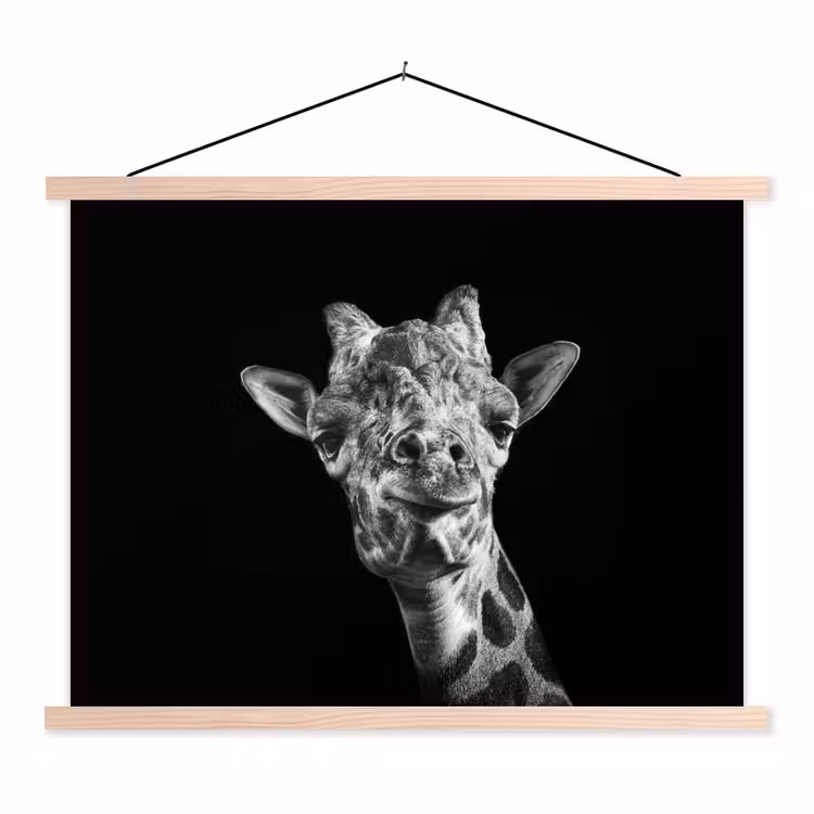 Schoolplaat - Giraffe - Dier - Zwart - Wit — 1