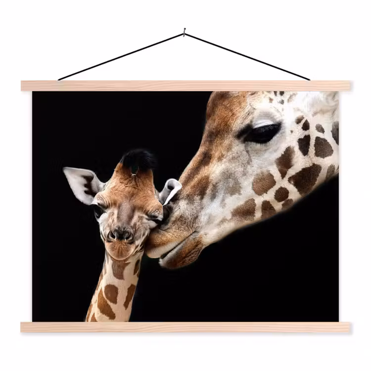 Schoolplaat - Giraffe - Dieren - Zwart - Portret - Dieren — 1