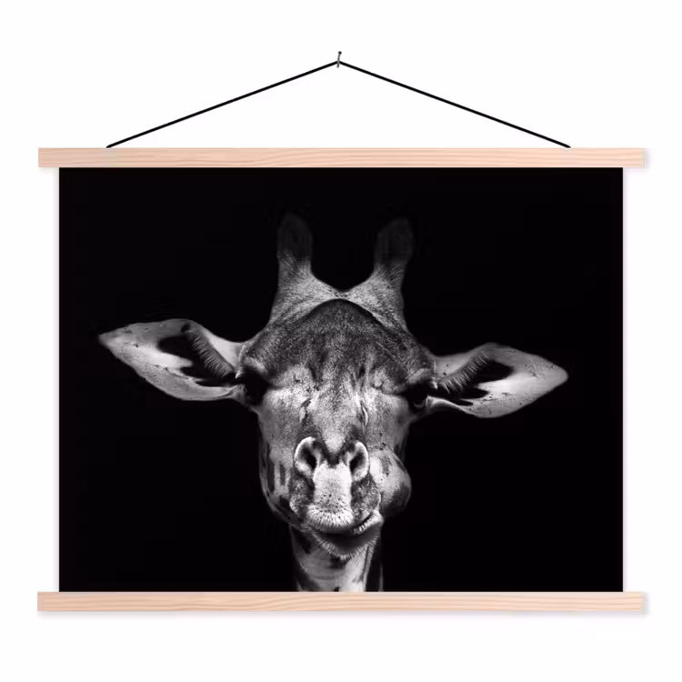 Schoolplaat - Giraffe - Portret - Dieren - Zwart - Wit — 1