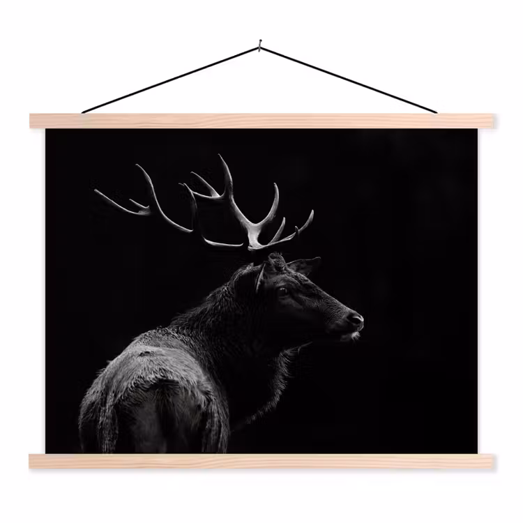 Schoolplaat - Hert - Zwart - Portret - Gewei - Dieren — 1