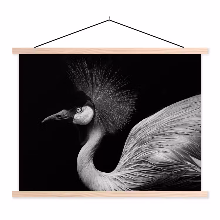 Schoolplaat - Kraanvogel - Zwart - Wit - Vogel - Dieren — 1