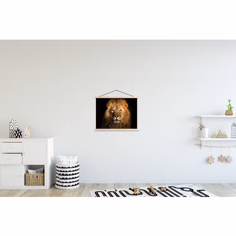 Schoolplaat - Leeuw - Dieren - Zwart - Licht - Bruin - Portret — 3