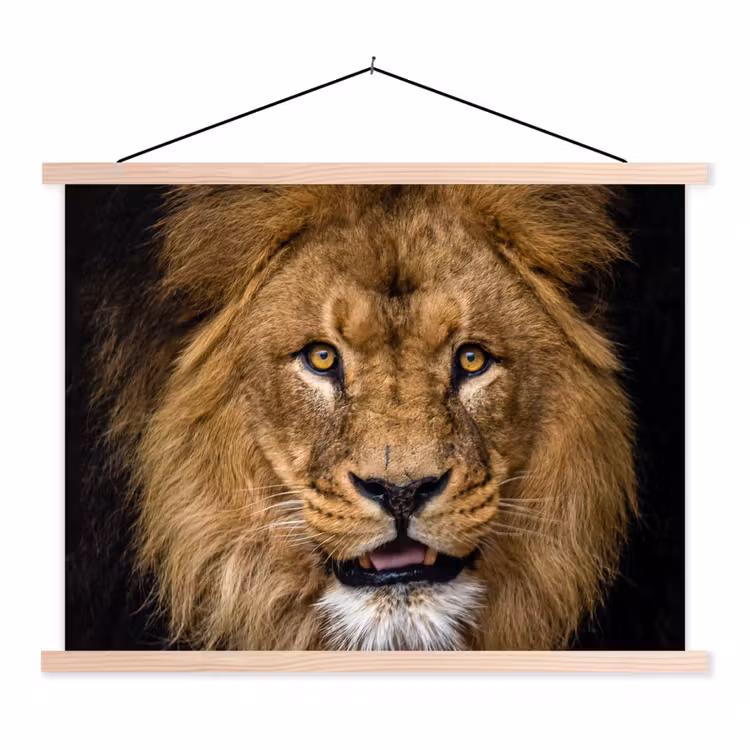 Schoolplaat - Leeuw - Portret - Zwart - Dieren — 1
