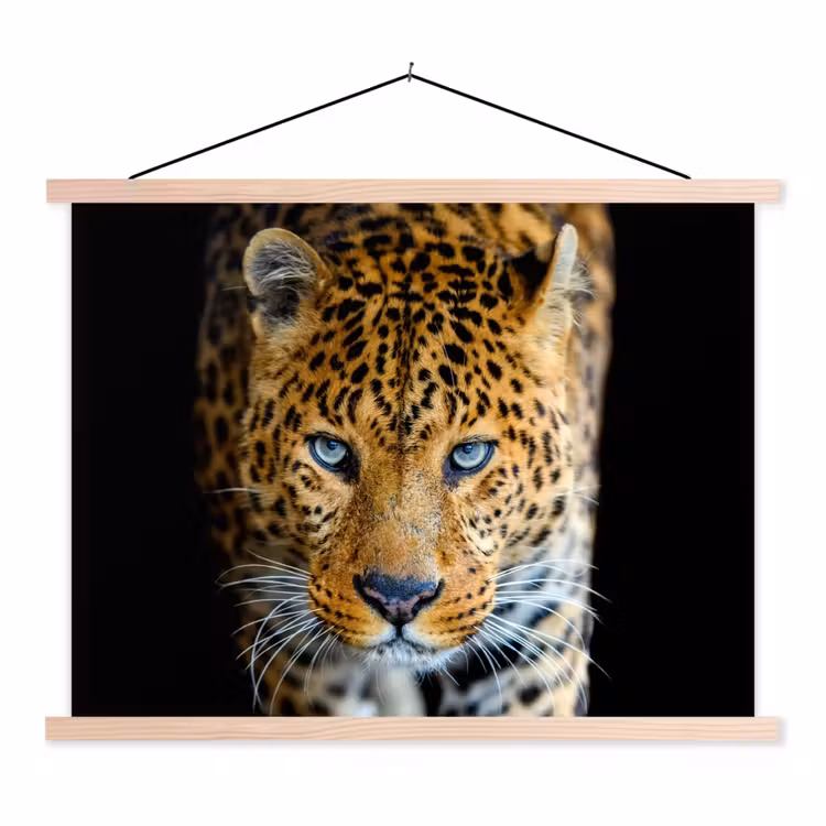 Schoolplaat - Luipaard - Dieren - Portret - Wilde dieren - Zwart — 1