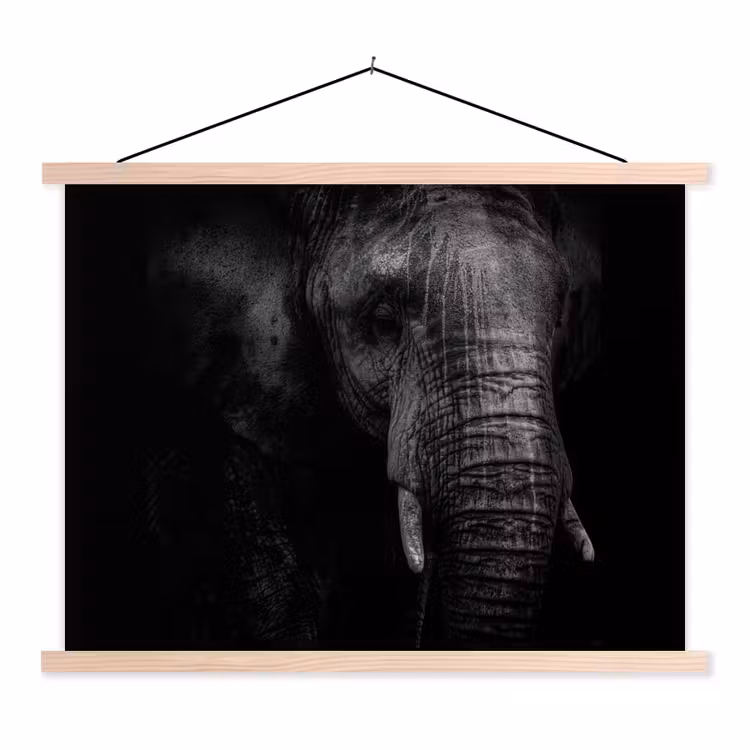 Schoolplaat - Olifant - Dier - Portret — 1