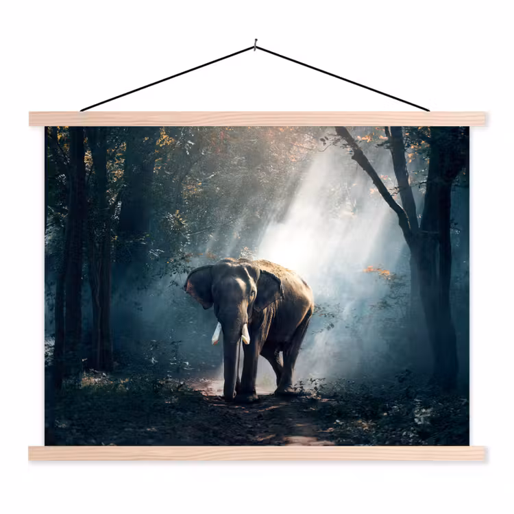 Schoolplaat - Olifant - Dieren - Licht - Bos - Natuur - Wilde dieren — 1