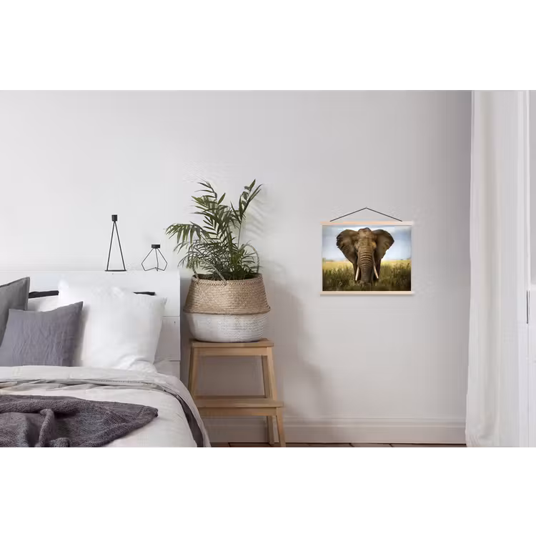 Schoolplaat - Olifant - Natuur - Gras - Dieren - Landschap — 2