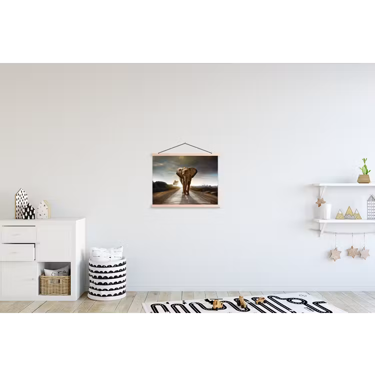 Schoolplaat - Olifant - Weg - Dieren - Zonsondergang - Landschap — 3