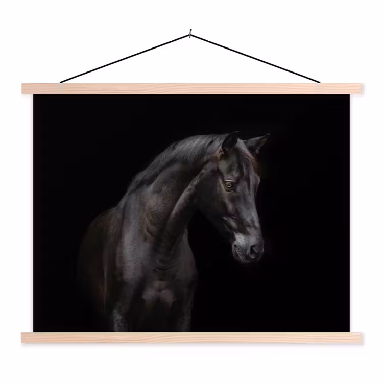 Schoolplaat - Paard - Dieren - Zwart - Portret — 1