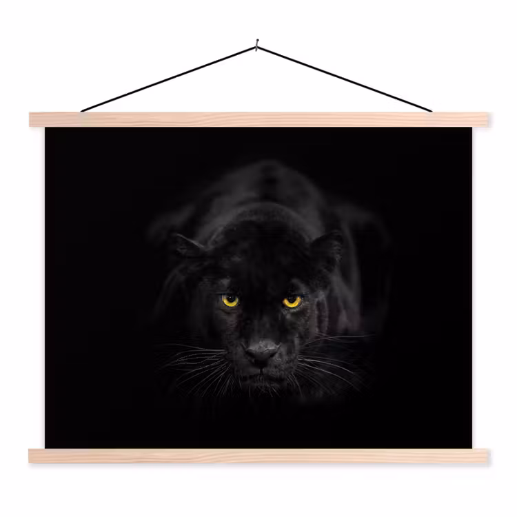 Schoolplaat - Panter - Dieren - Zwart - Ogen — 1