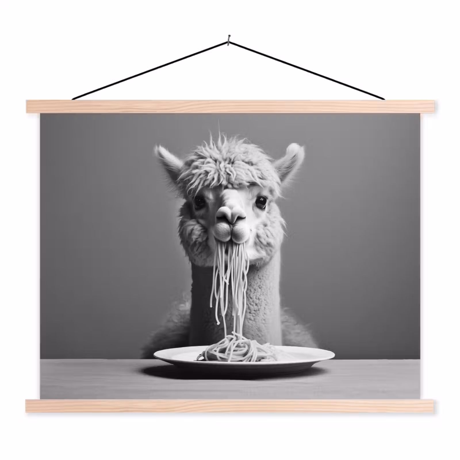 Schoolplaat - Alpaca - Pasta - Zwart - Wit - Grappig - Dieren — 1