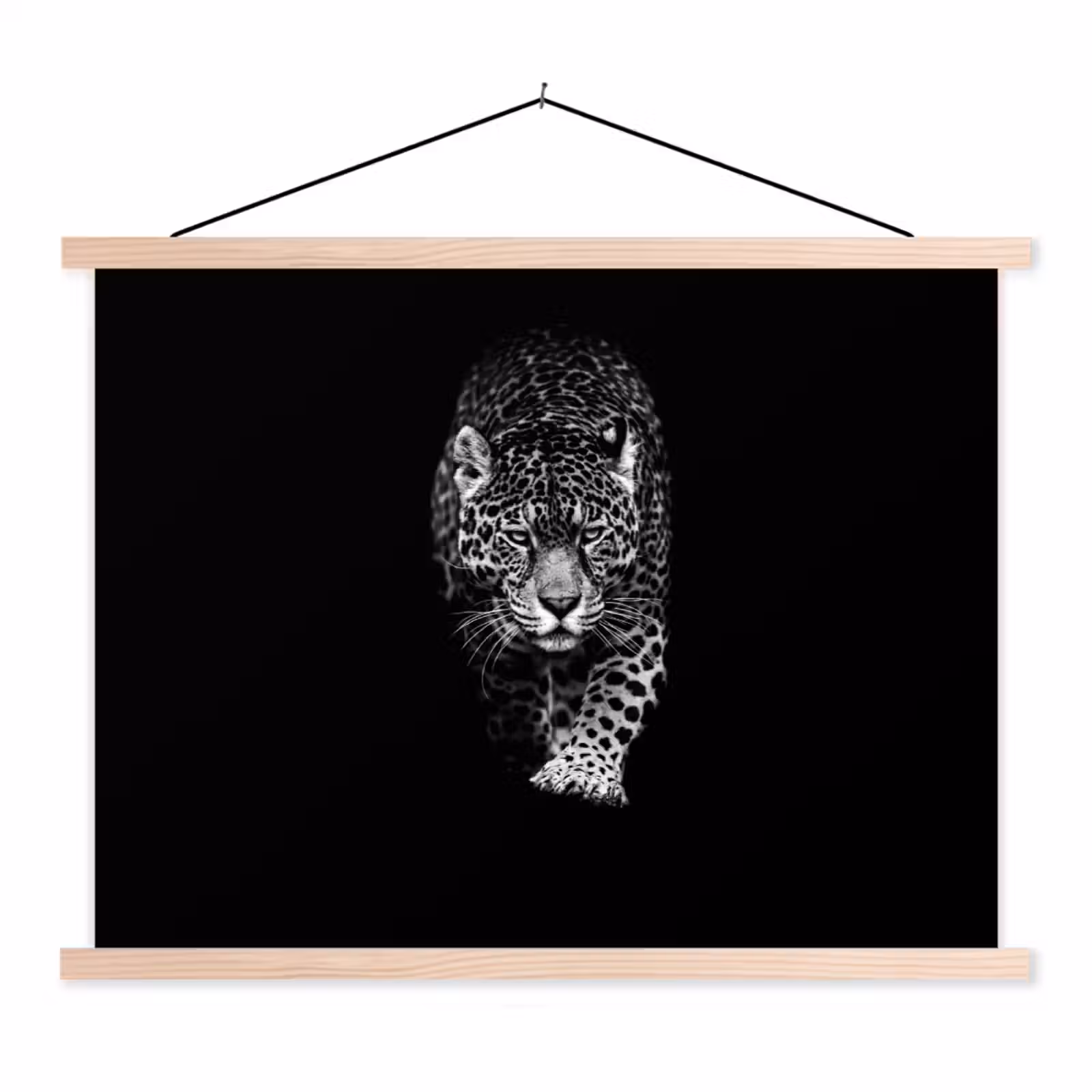 Schoolplaat - Dieren - Zwart - Luipaard - Wit - Wild — 1