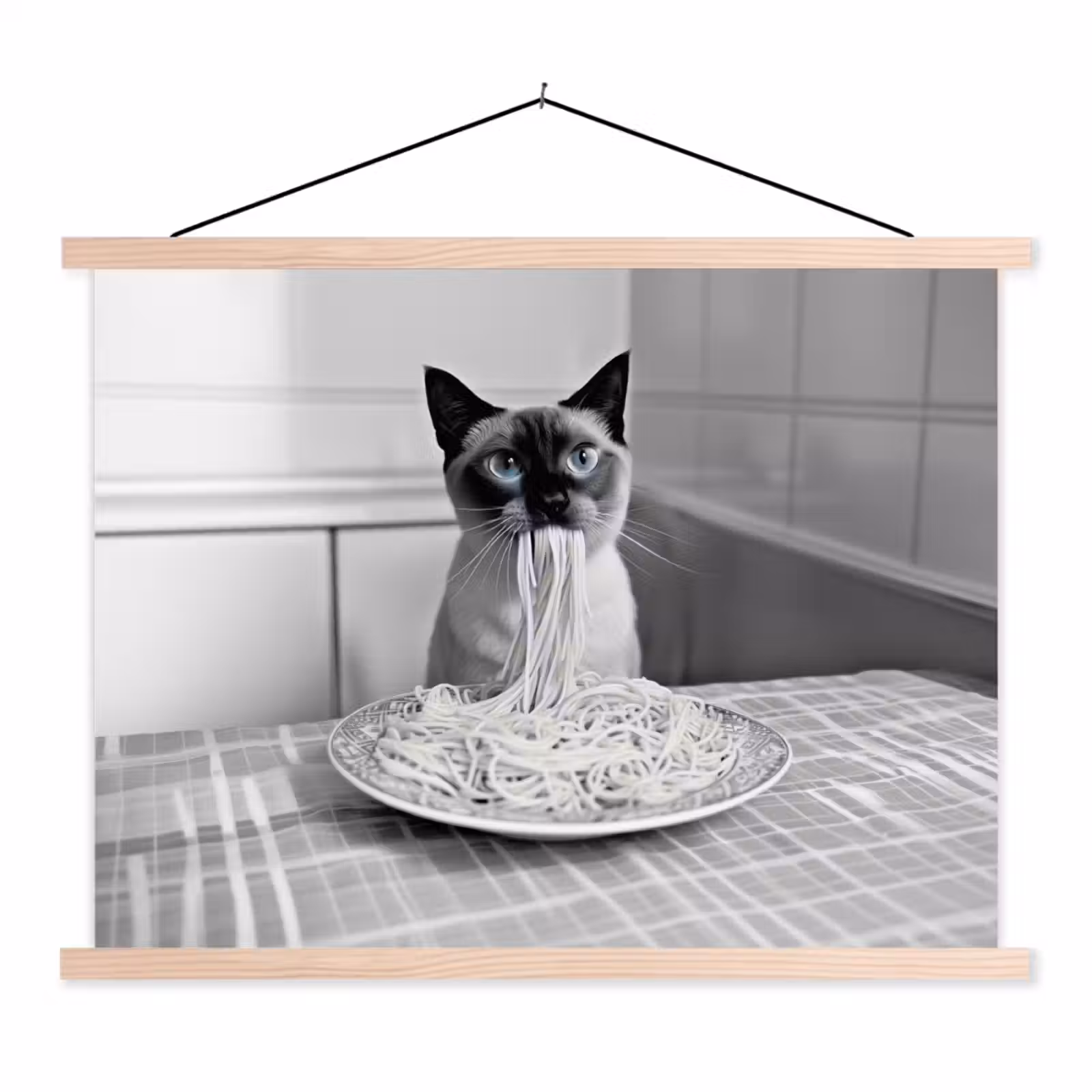 Schoolplaat - Kat - Siamees - Zwart Wit - Schattig - Dieren — 1