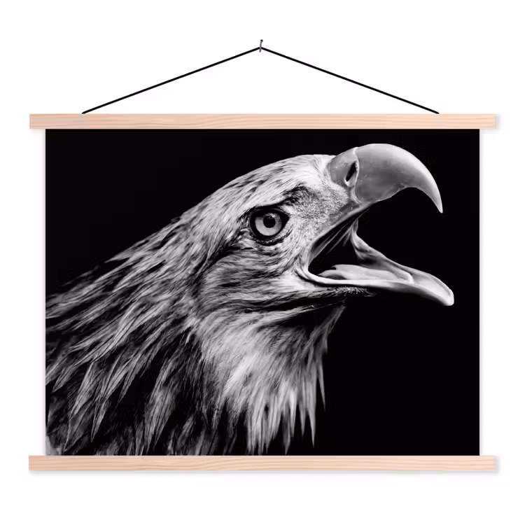 Schoolplaat - Adelaar - Portret - Roofvogels - Zwart - Wit - Vogel — 1