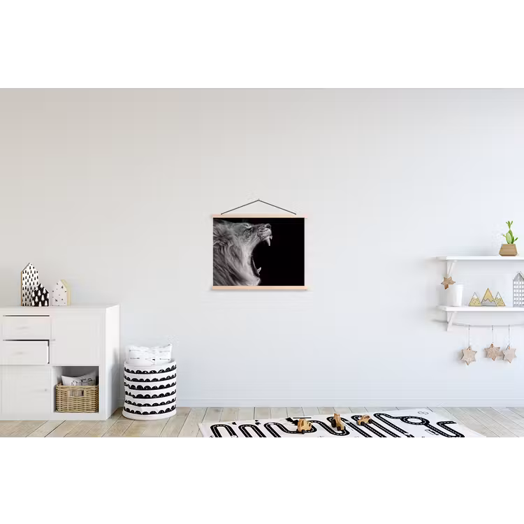 Schoolplaat - Dieren - Leeuw - Zwart - Wit - Portret — 3