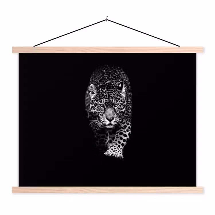 Schoolplaat - Dieren - Zwart - Luipaard - Wit - Wild — 1
