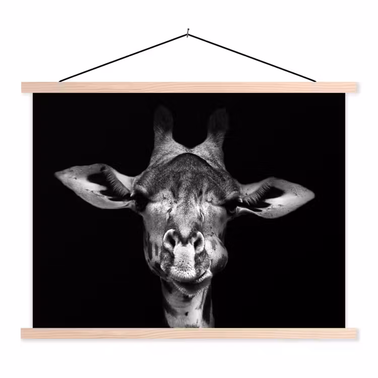 Schoolplaat - Giraffe - Portret - Dieren - Zwart - Wit — 1