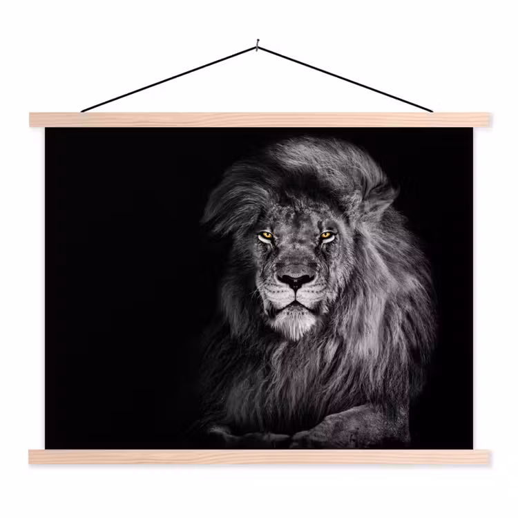 Schoolplaat - Leeuw - Ogen - Oranje - Zwart wit - Dieren - Portret — 1