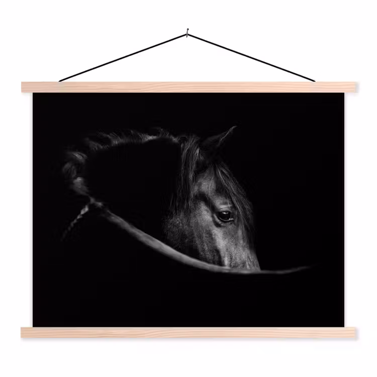 Schoolplaat - Paarden - Portret - Zwart - Dieren — 1
