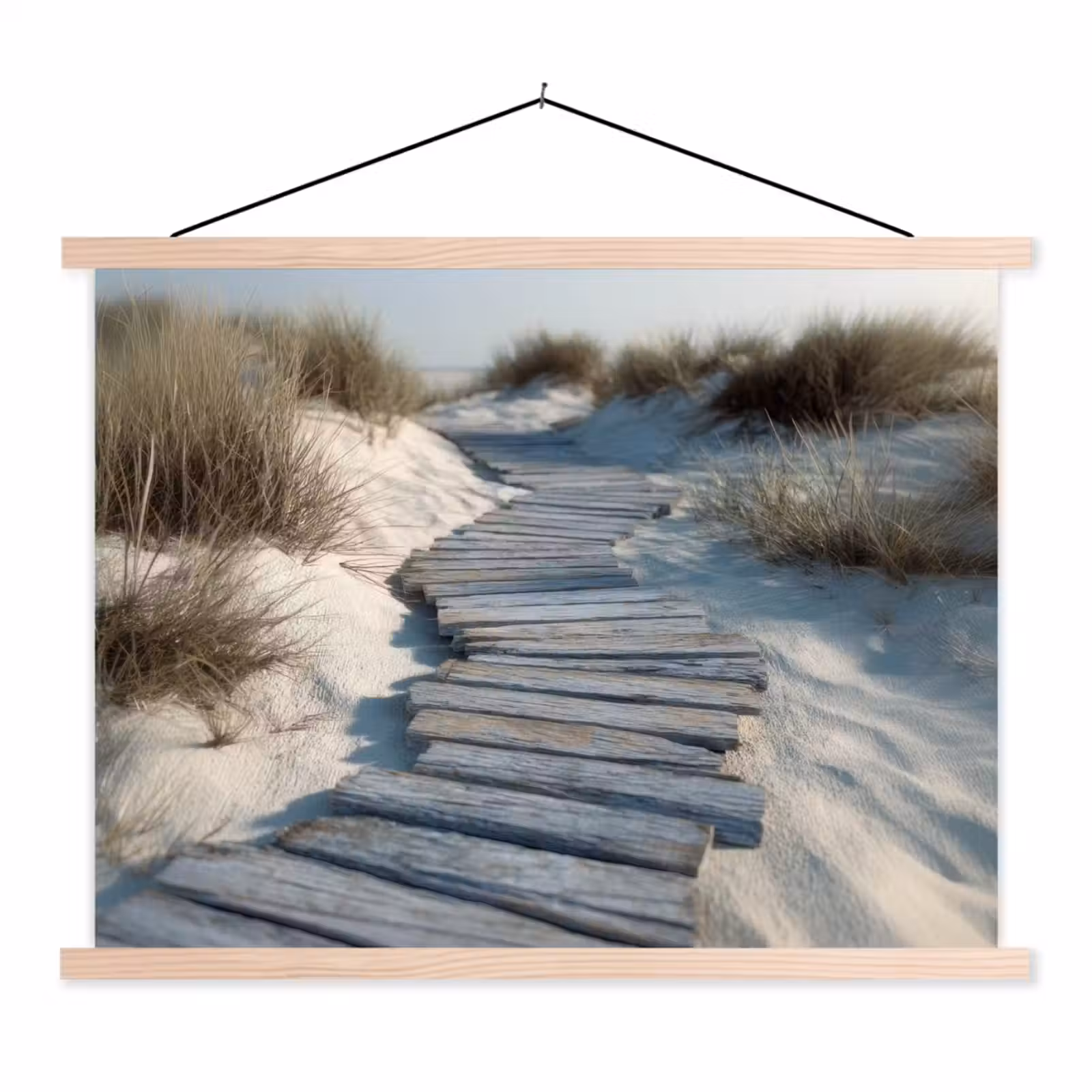 Schoolplaat - Pad - Planken - Duinen - Gras — 1