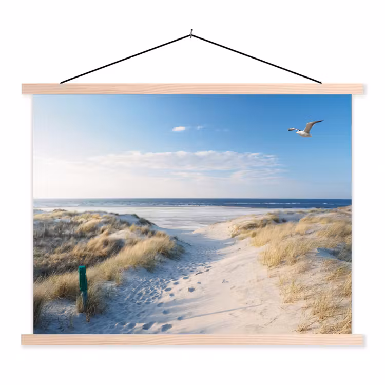 Schoolplaat - Duin - Meeuw - Strand - Zee - Zon — 1