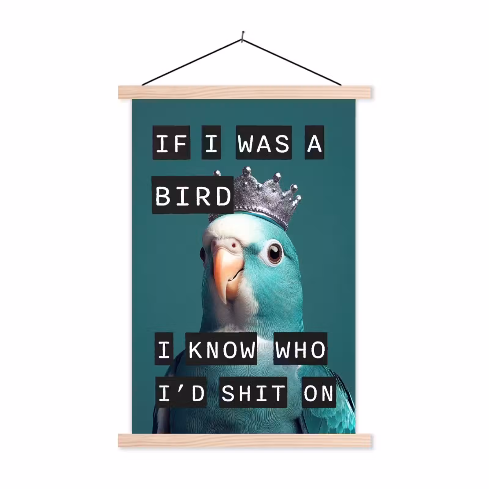 Schoolplaat - Parkiet - Turquoise - Quotes - Decoratie — 1