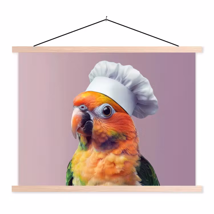 Schoolplaat - Papegaai - Koksmuts - Nieuwsgierig - Vogel — 1