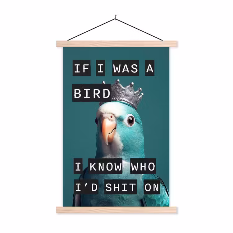 Schoolplaat - Parkiet - Turquoise - Quotes - Decoratie — 1