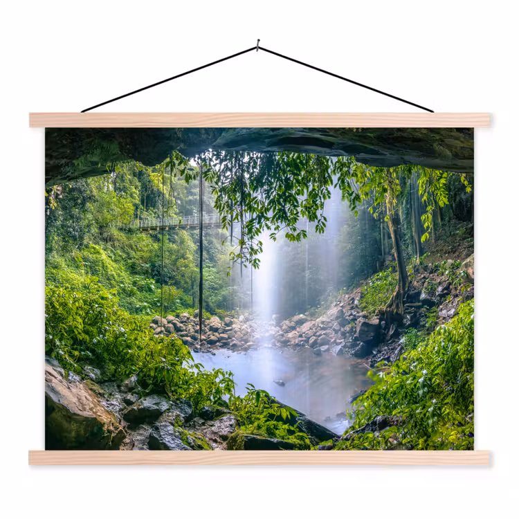 Schoolplaat - Jungle - Regenwoud - Water - Waterval - Planten — 1