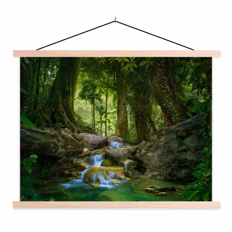 Schoolplaat - Jungle - Stenen - Water - Natuur - Planten — 1
