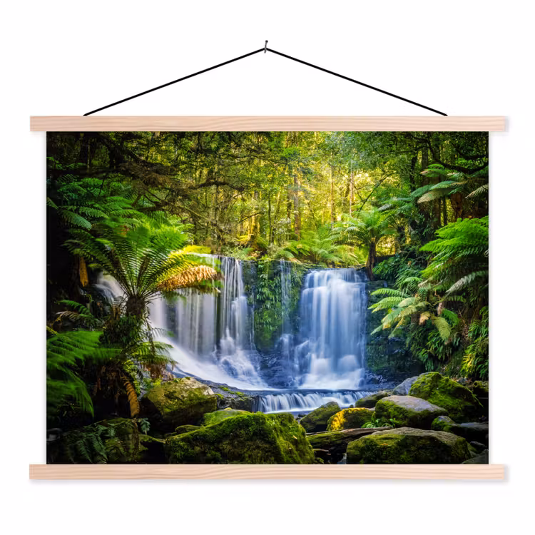 Schoolplaat - Jungle - Waterval - Australië - Planten - Natuur — 1