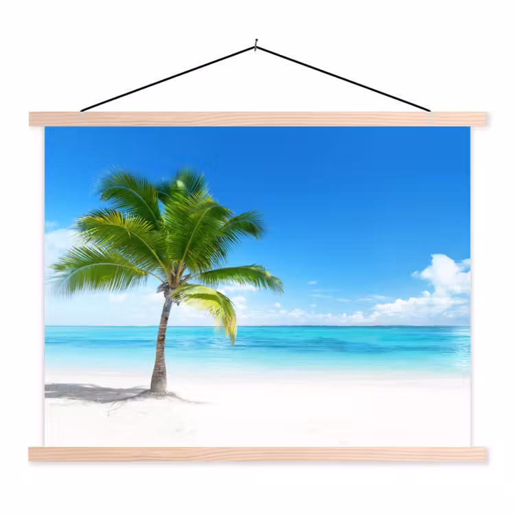 Schoolplaat - Palmboom - Strand - Zee - Zomer — 1