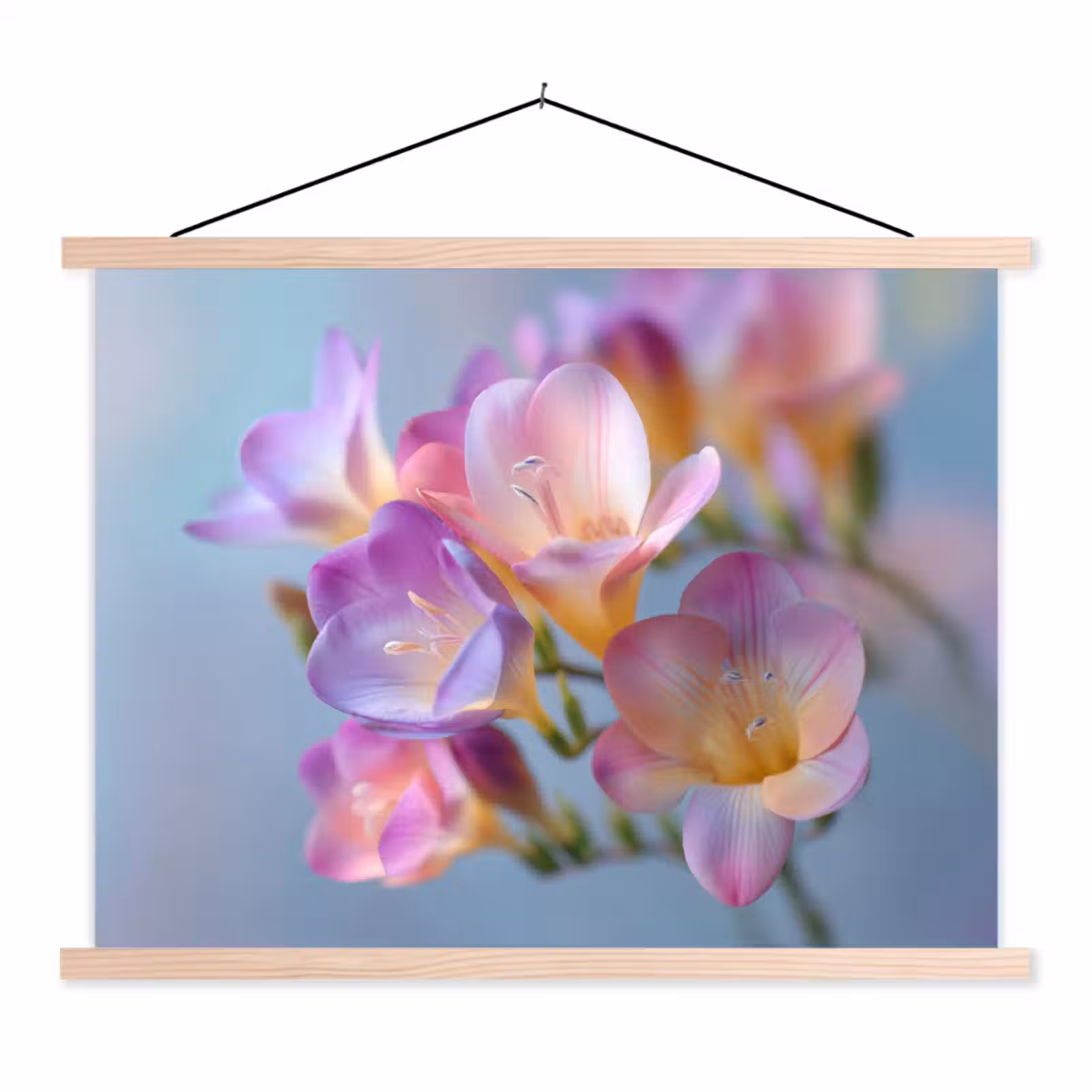 Schoolplaat - Bloemen - Paars - Overloop - Meeldraden — 1