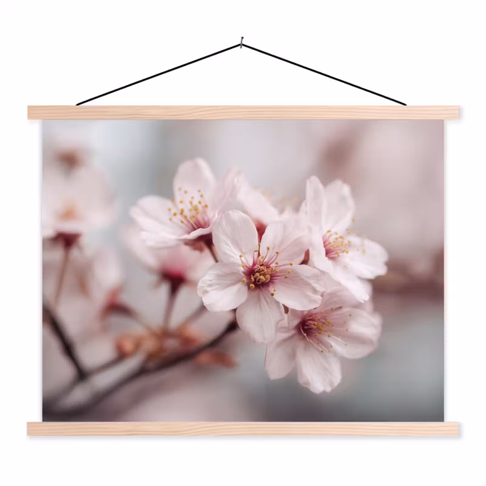 Schoolplaat - Bloesems - Meeldraden - Geel - Wazig — 1