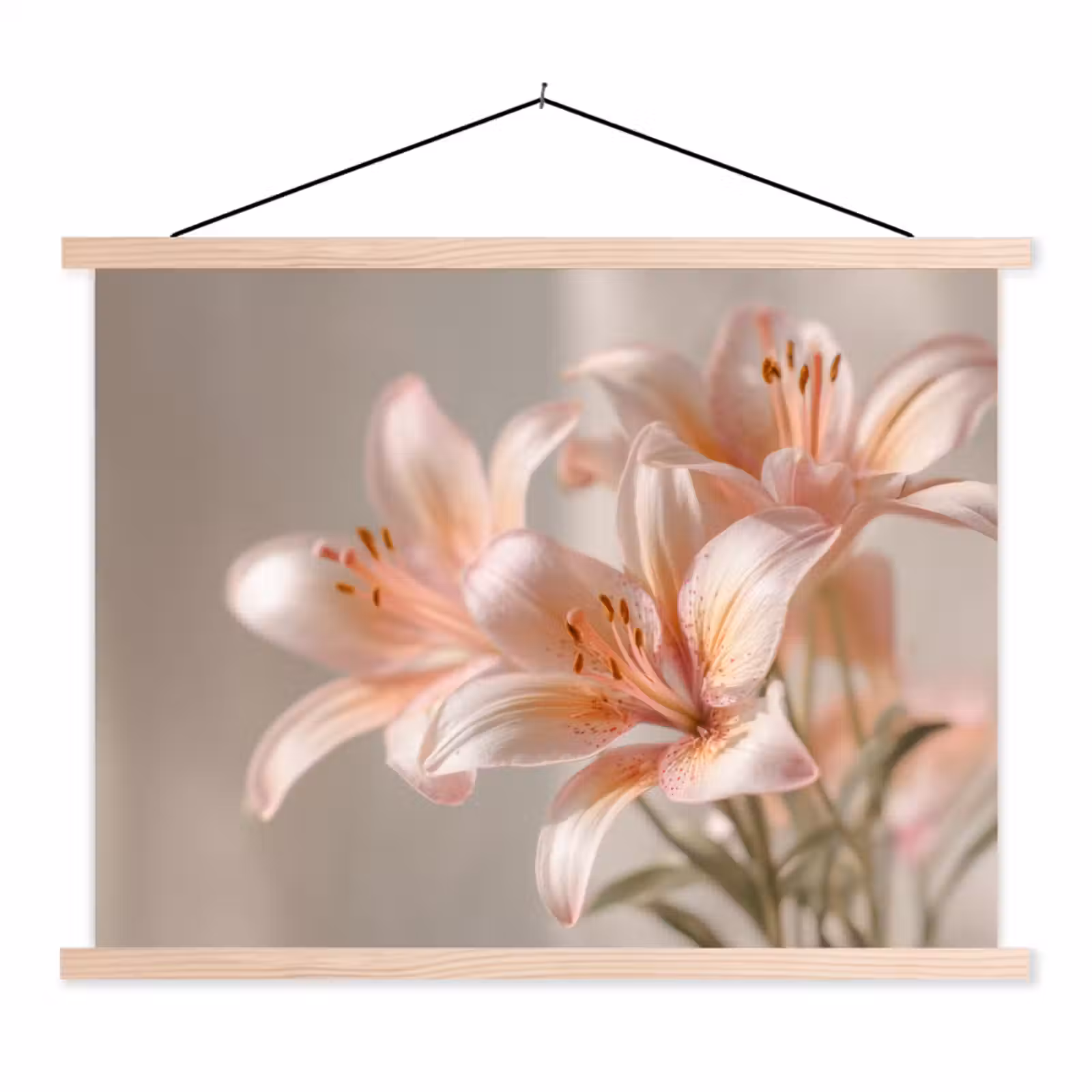 Schoolplaat - Lelies - Meeldraden - Roze - Wazig — 1