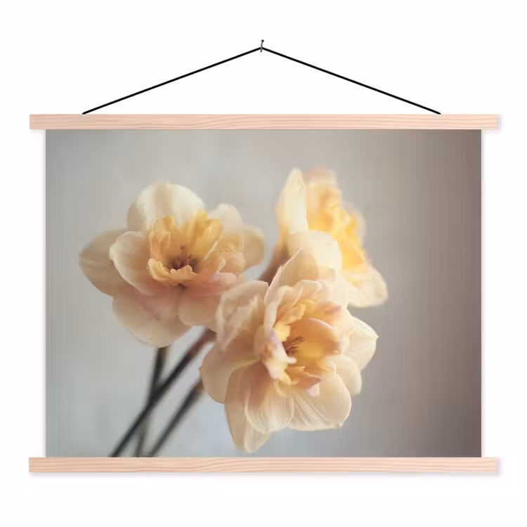 Schoolplaat - Narcissen - Geel - Bloemblaadjes — 1