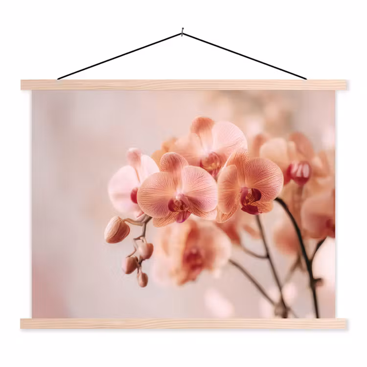 Schoolplaat - Orchidee - Bloemen - Roze - Bloemblaadjes — 1