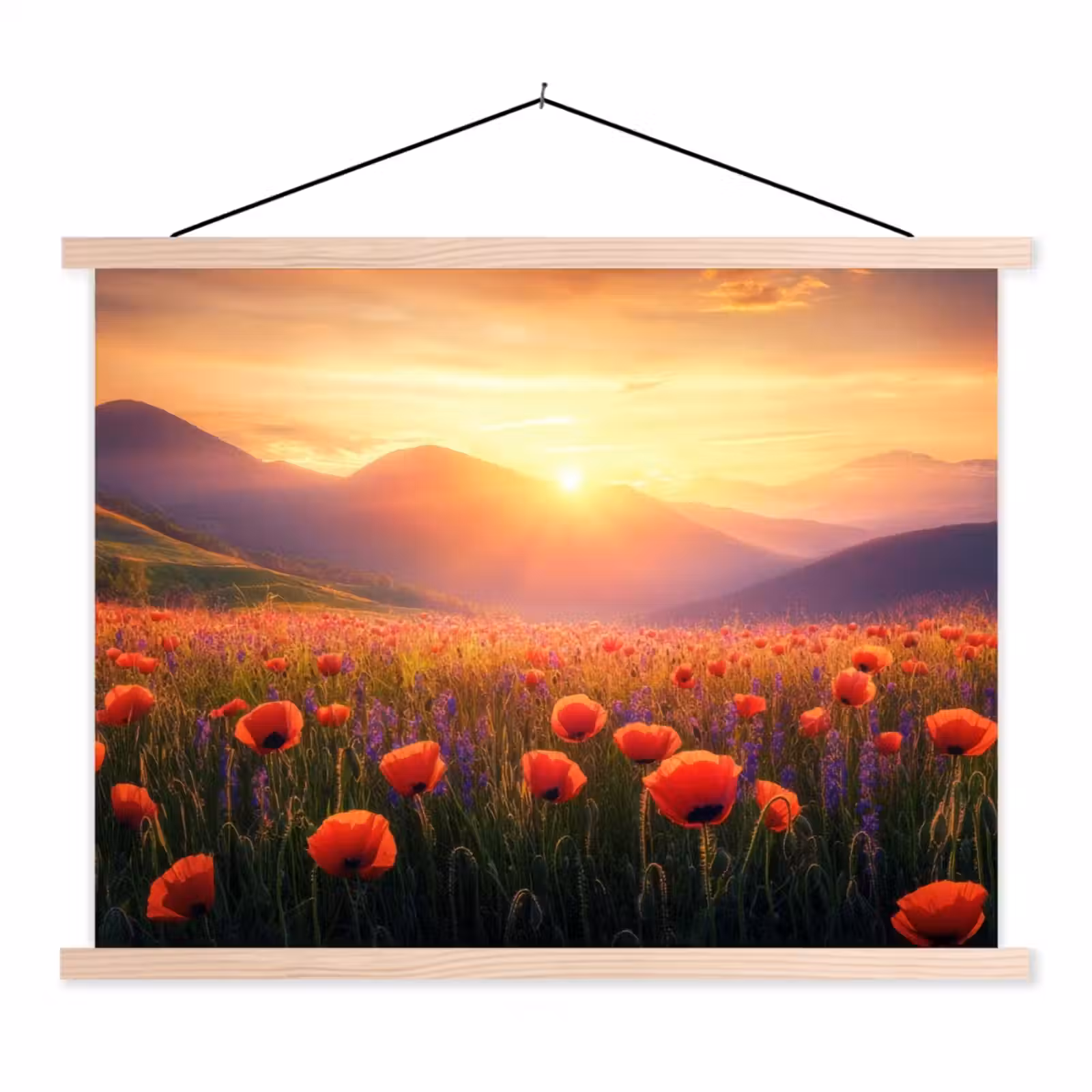 Schoolplaat - Landschap - Zonsondergang - Bloemenveld — 1
