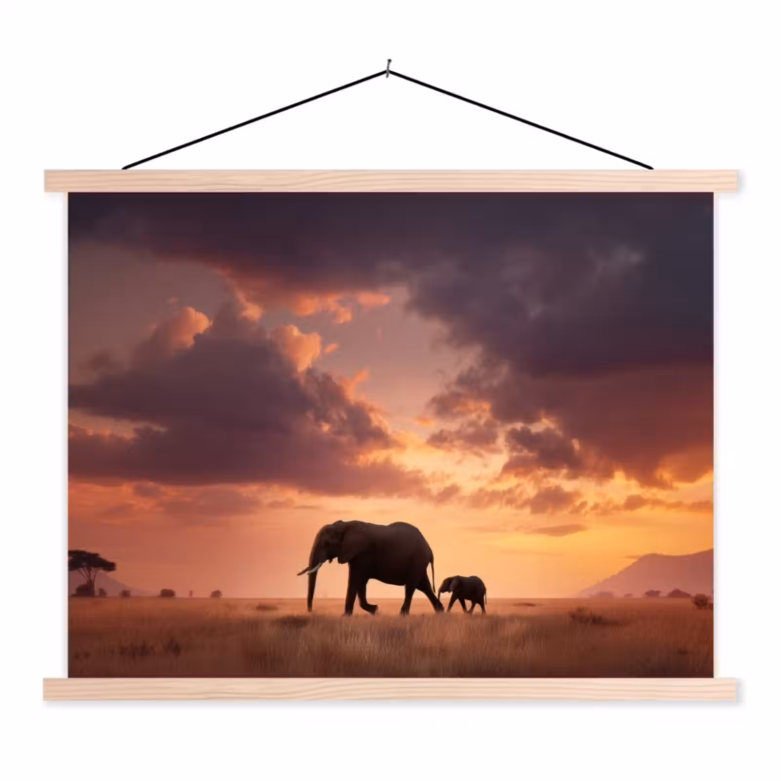 Schoolplaat - Olifanten - Grasland - Zonsondergang — 1