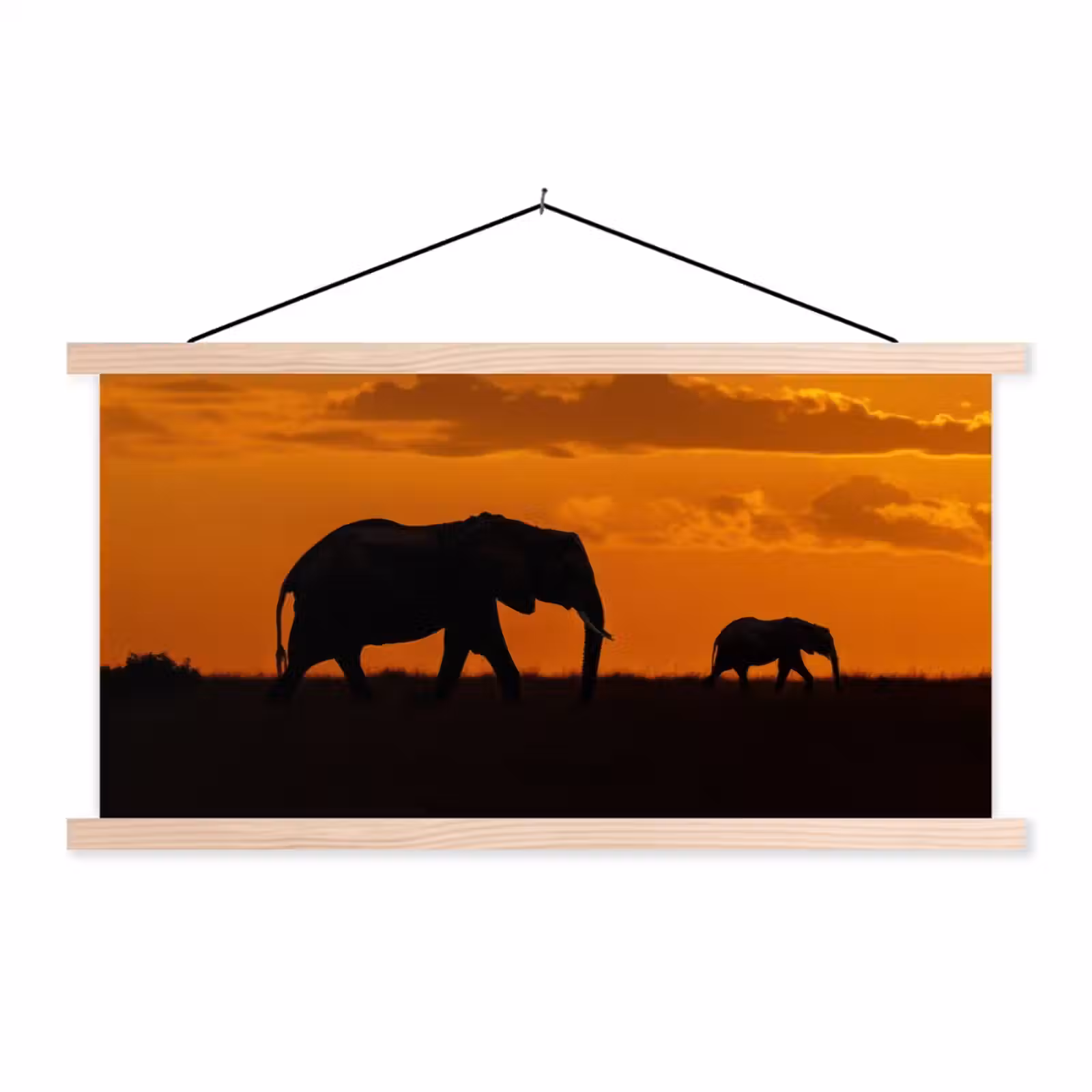 Schoolplaat - Olifanten - Savanne - Zonsondergang — 1