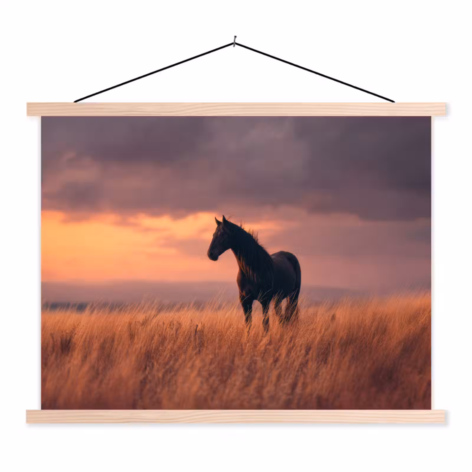 Schoolplaat - Paard - Wolken - Open veld — 1