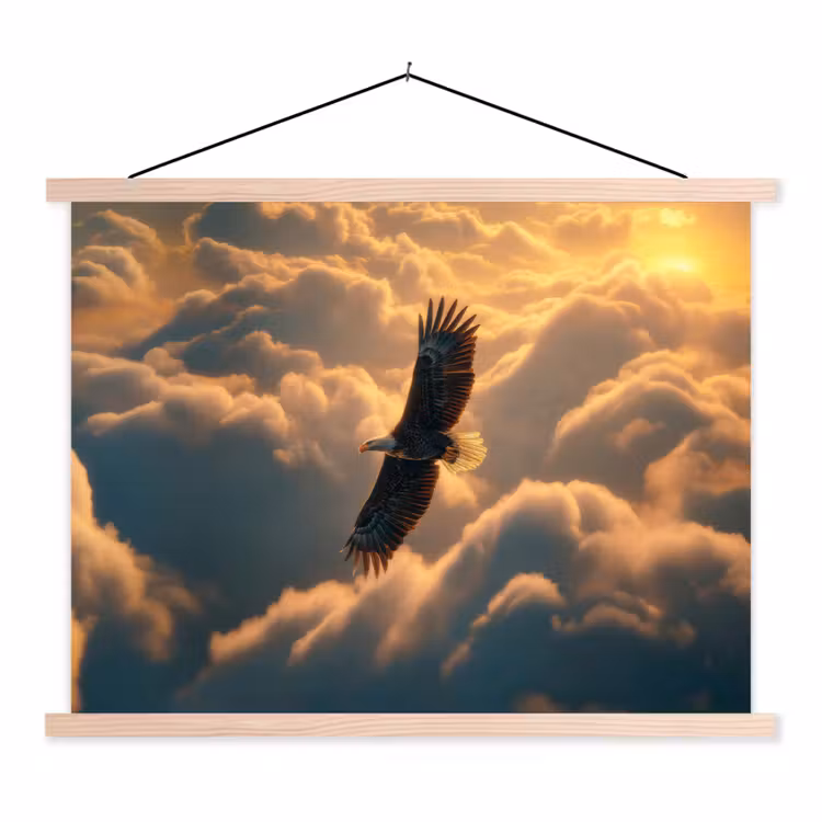Schoolplaat - Adelaar - Wolken - Zon — 1